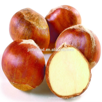 Fresh Chestnut